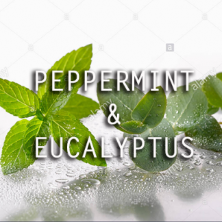 Peppermint & Eucalyptus – Soy Wax Melt
